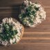 blog-1